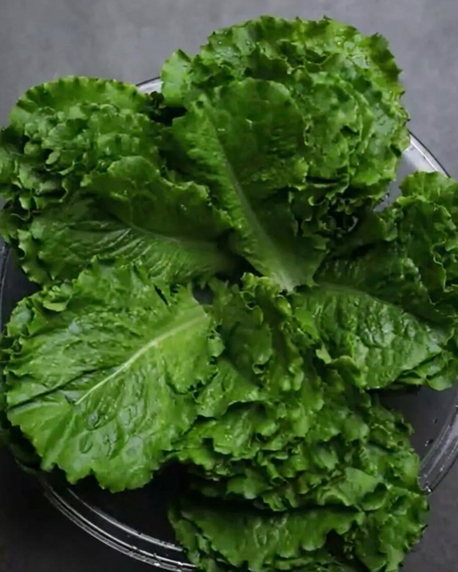 Frische, leuchtend grüne Salatblätter nach dem Waschen in einer Glasschüssel.