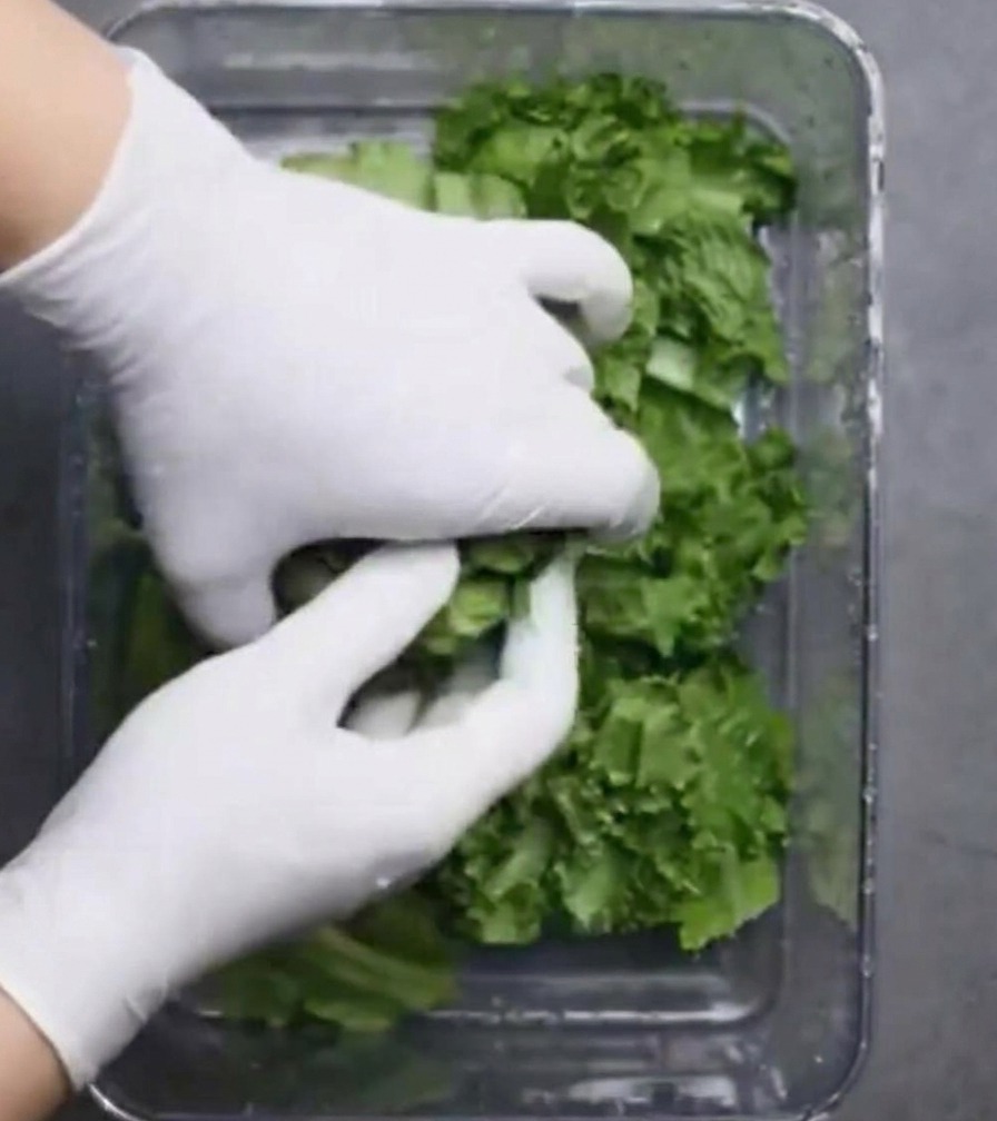 Hände mit Handschuhen schichten geschnittene Salatblätter in einen klaren Vorratsbehälter.