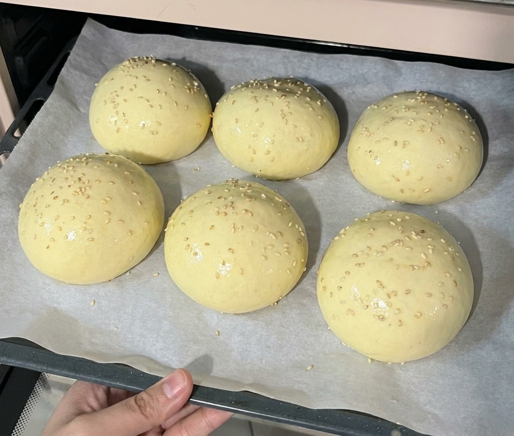 Ein Backblech mit sechs Buns, die mit Sesam bestreut sind, wird in einen vorgeheizten Ofen geschoben.