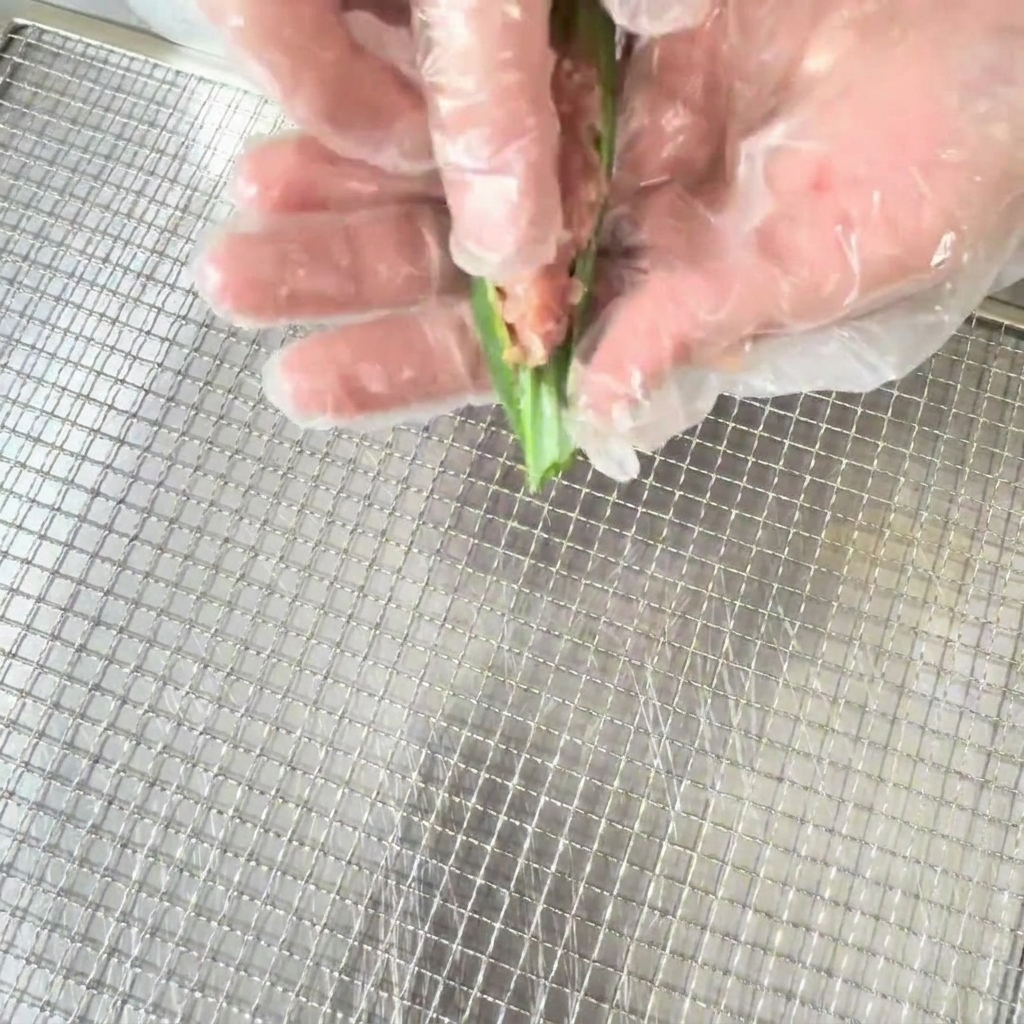 Eine Hand in einem lebensmittelechten Handschuh füllt die gewürzte Entenmischung in eine halbierte Okraschote.