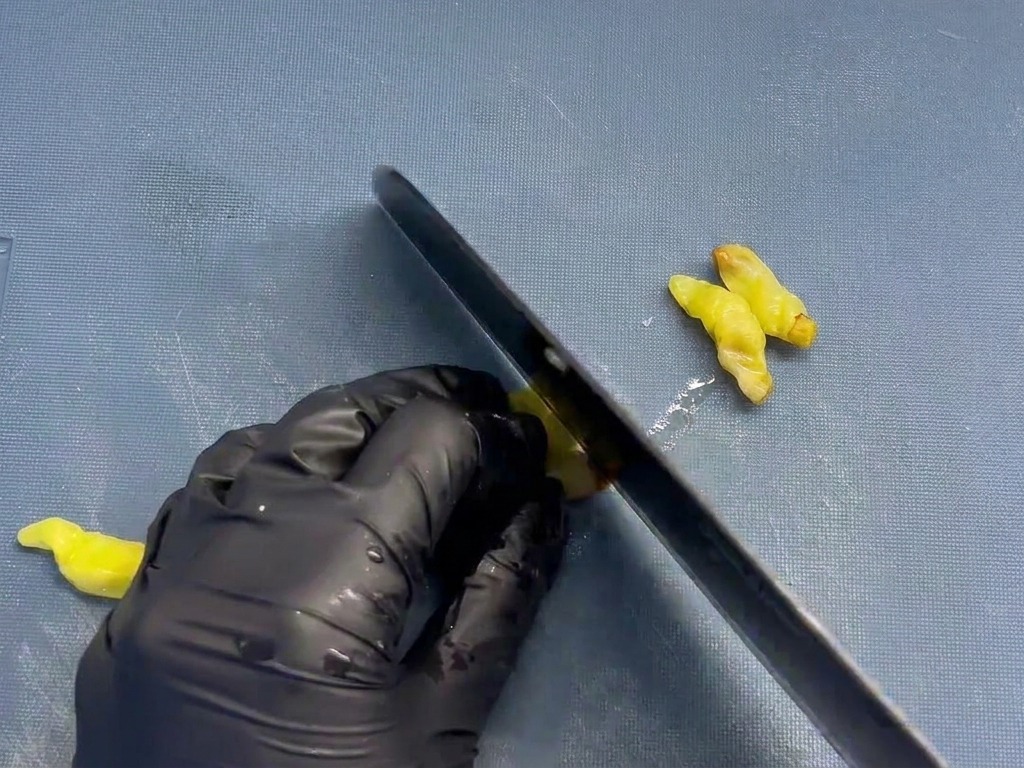 Ein Koch hackt gelbe eingelegte Peperoni fein mit einem schwarzen Messer auf einem blauen Schneidebrett.