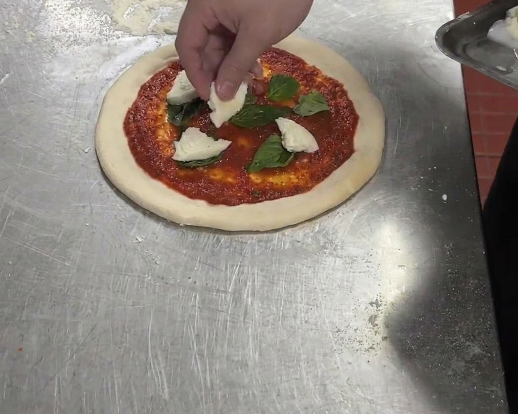 Gezupfte Stücke von weißem Büffelmozzarella werden auf eine Pizza mit Tomatensauce und Basilikum gegeben.