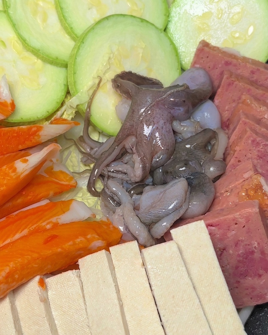 Nahaufnahme eines Topfes voller ordentlich angerichteter Zutaten wie Zucchini, Spam, Tofu, Surimi und rohem Oktopus.
