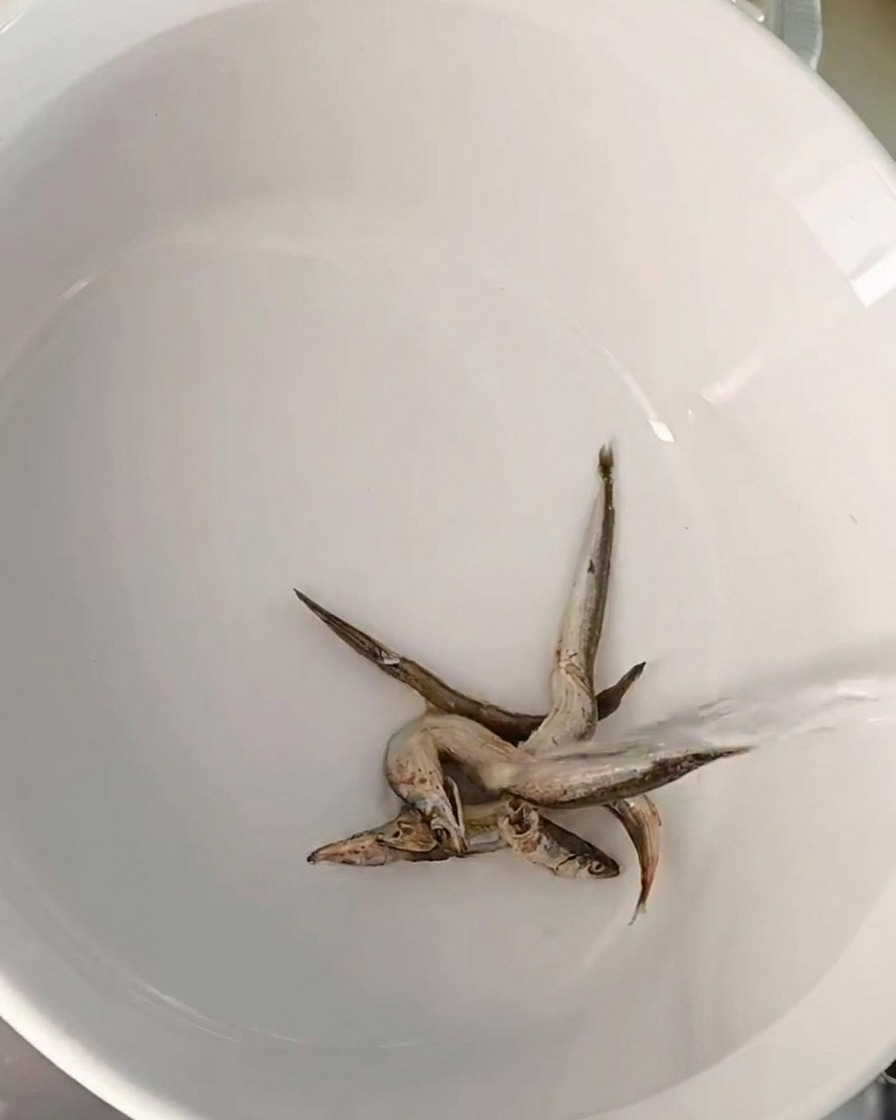 Mehrere kleine getrocknete Sardellen am Boden eines weißen Keramiktopfes, während Wasser eingegossen wird.
