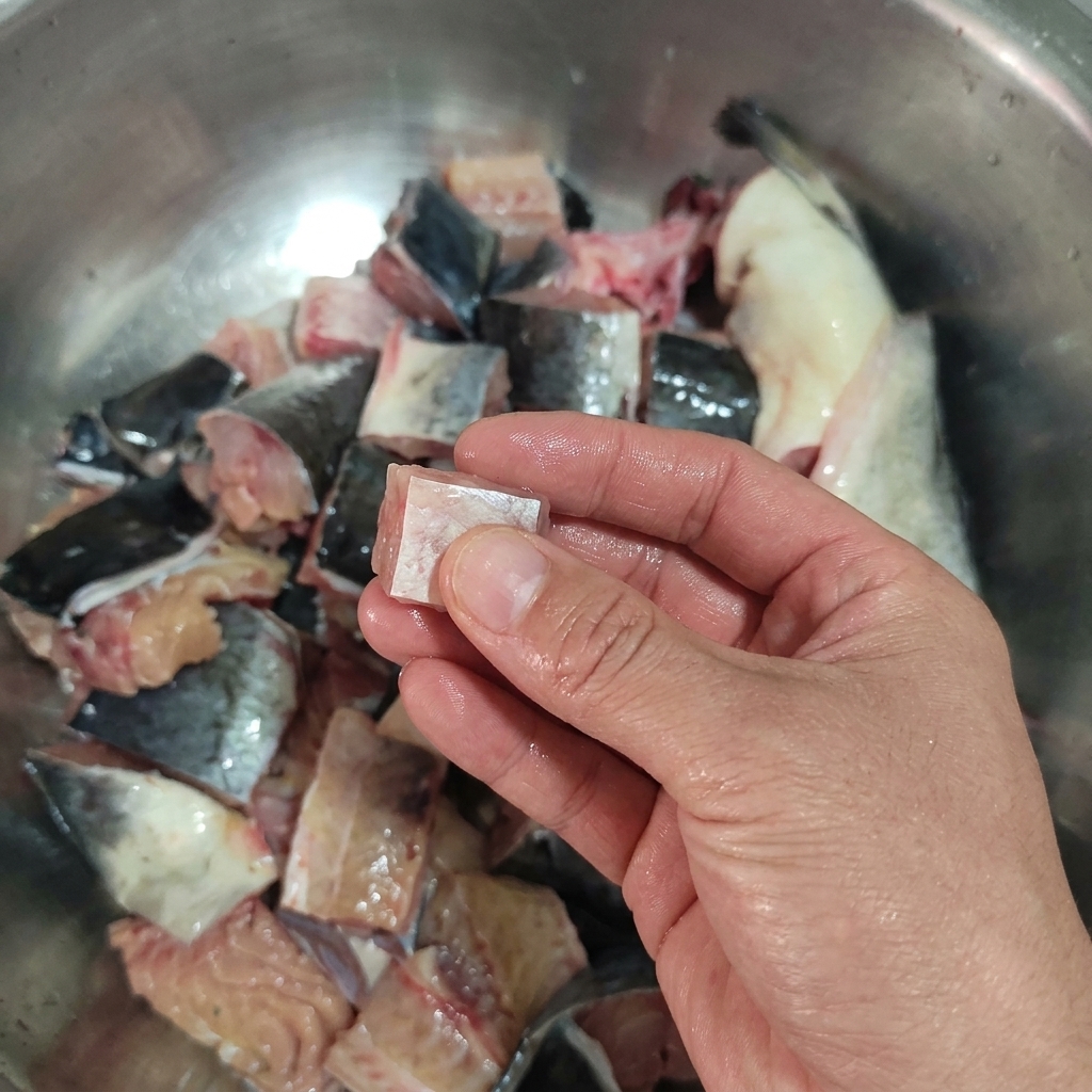 Eine Hand hält ein quadratisches Stück rohen Wels vor einer Schüssel mit weiteren Fischstücken.