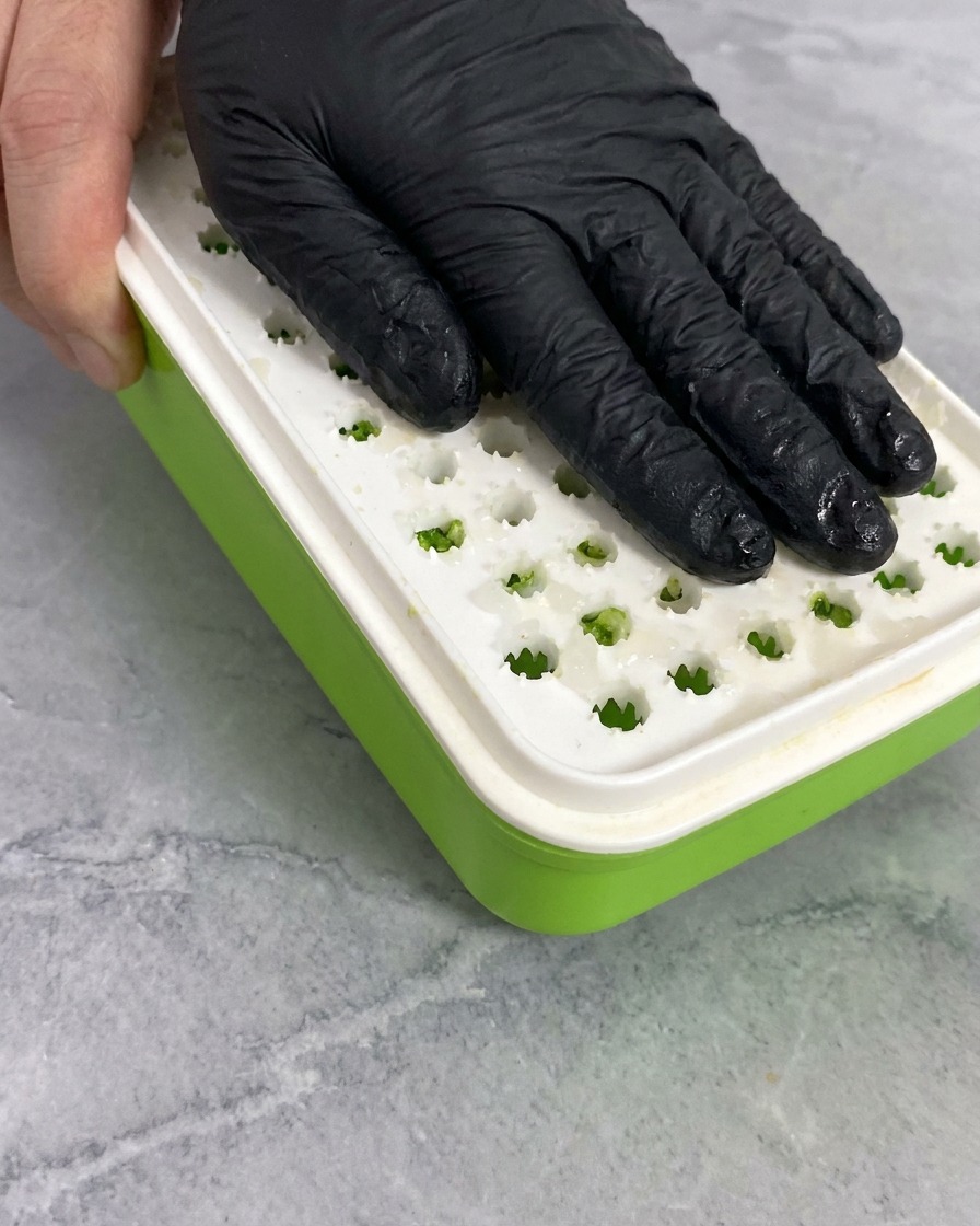 Eine Hand in einem schwarzen Handschuh reibt ein Stück weißen Daikon-Rettich auf einer grünen Reibe.