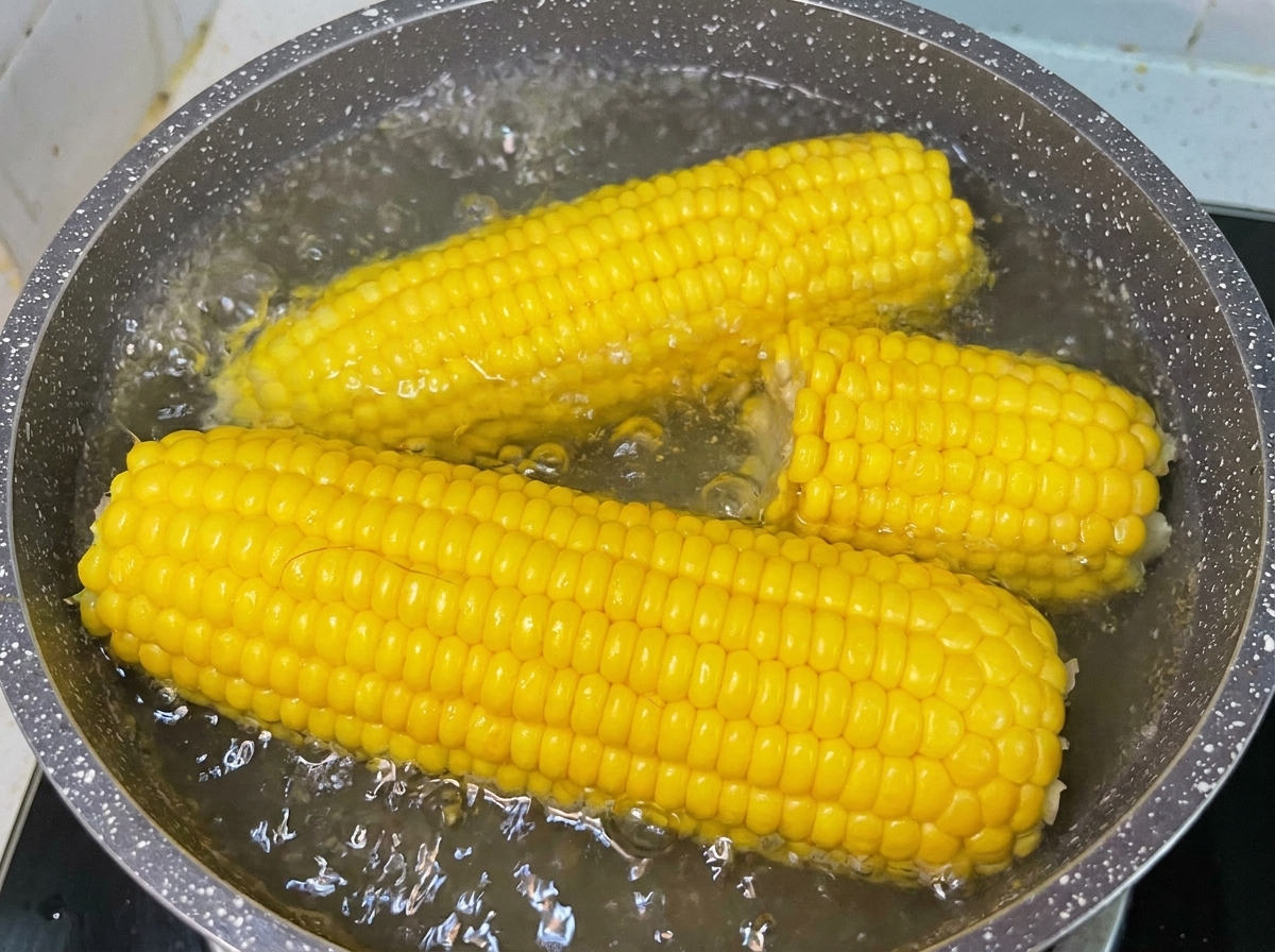 Gelbe Zuckermaiskolben kochen in einem Topf mit sprudelndem Wasser auf dem Herd.