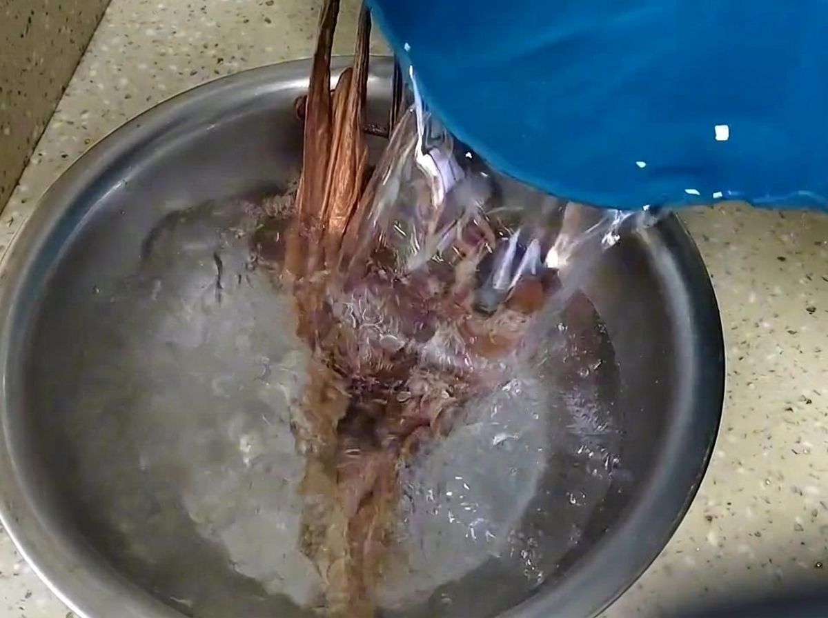 Wasser wird über getrockneten Oktopus und Shiitake-Pilze gegossen, die in einer Metallschüssel einweichen.