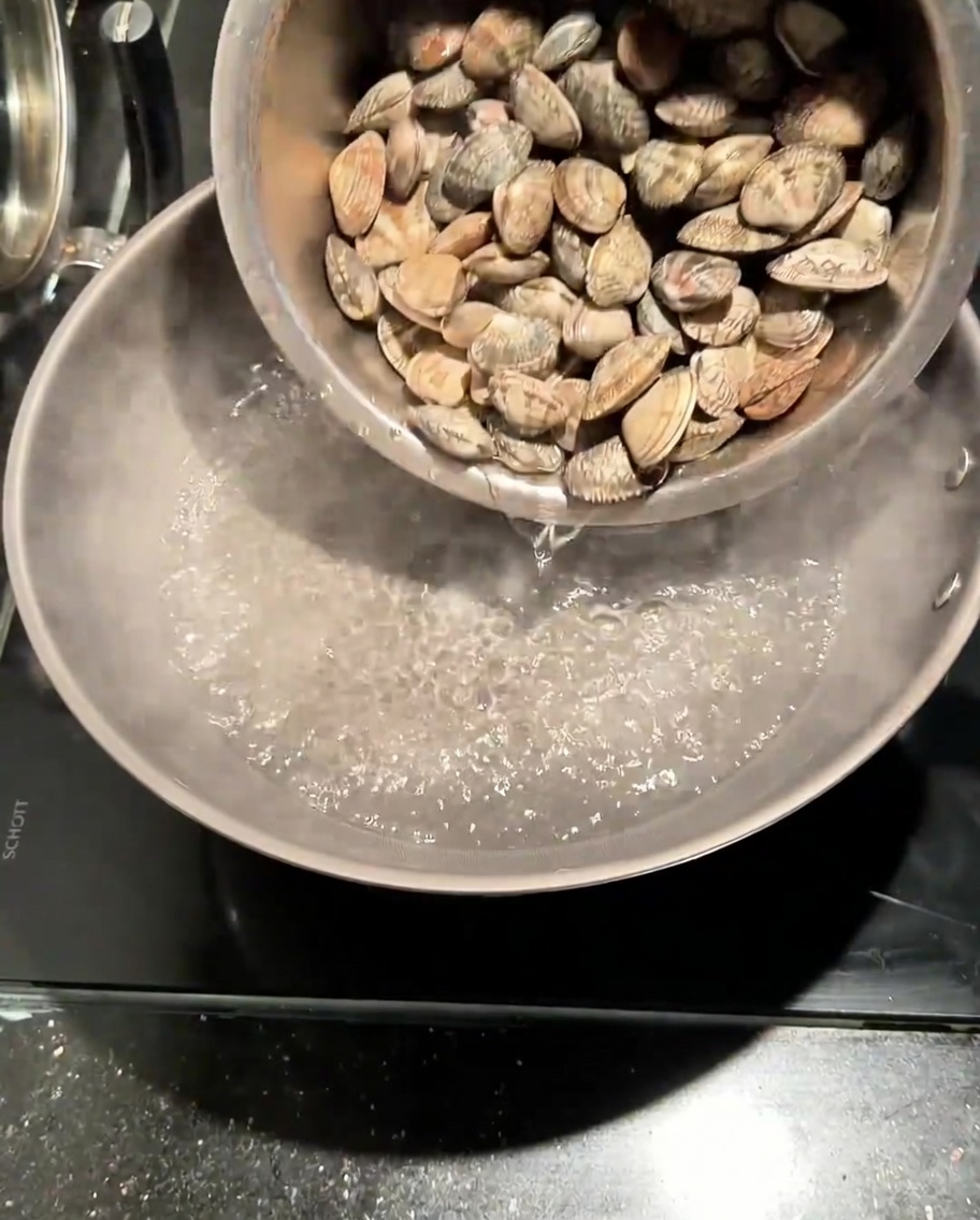 Frische Muscheln werden in einen Topf mit kochendem Salzwasser gegeben.