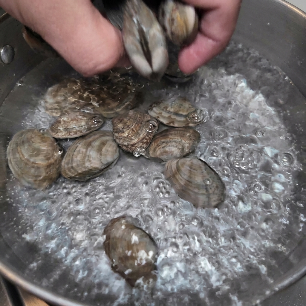 Eine Hand gibt frische Venusmuscheln in einen Topf mit sprudelnd kochendem Wasser.