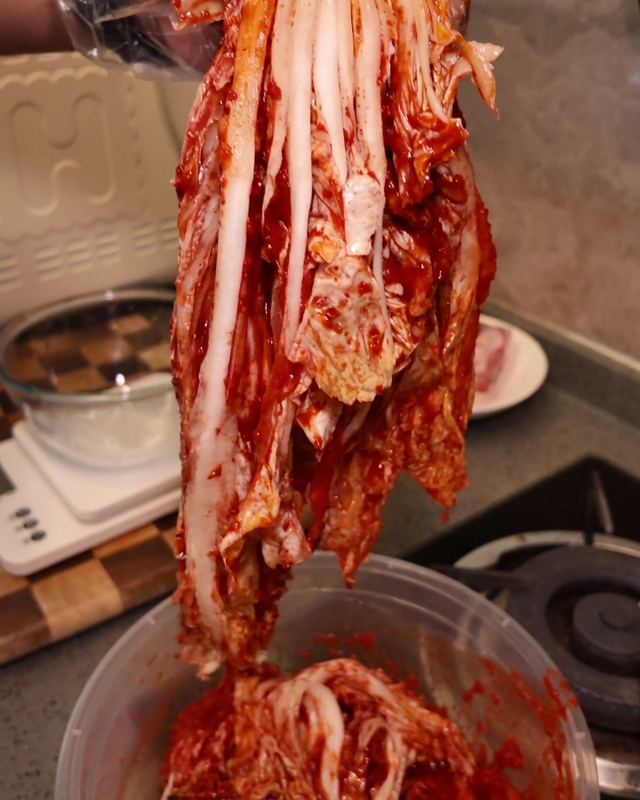 Ein großes, ungeschnittenes Stück leuchtend rotes, saures Kimchi wird von einer behandschuhten Hand angehoben.