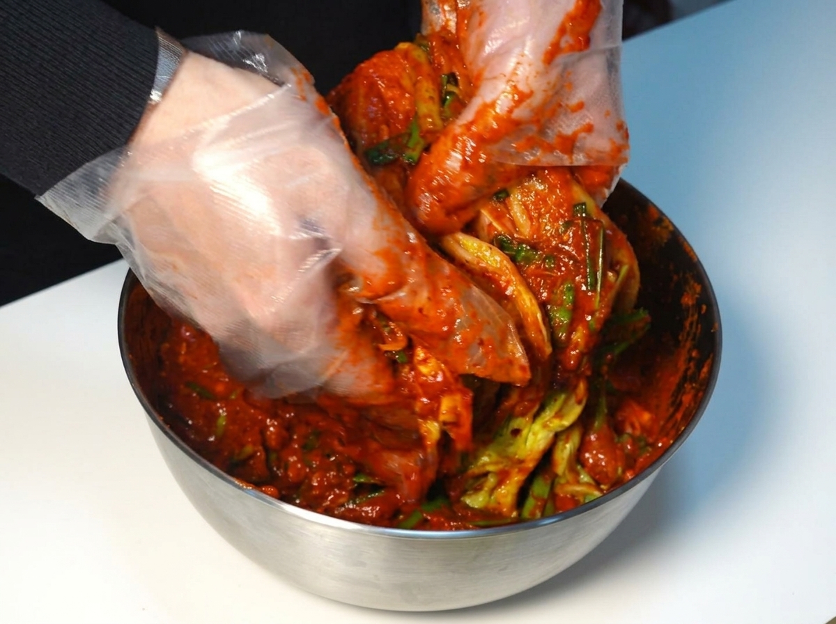 Behandschuhte Hände verteilen dicke rote Kimchi-Paste gleichmäßig auf jeder Schicht eines Chinakohlkopfes.