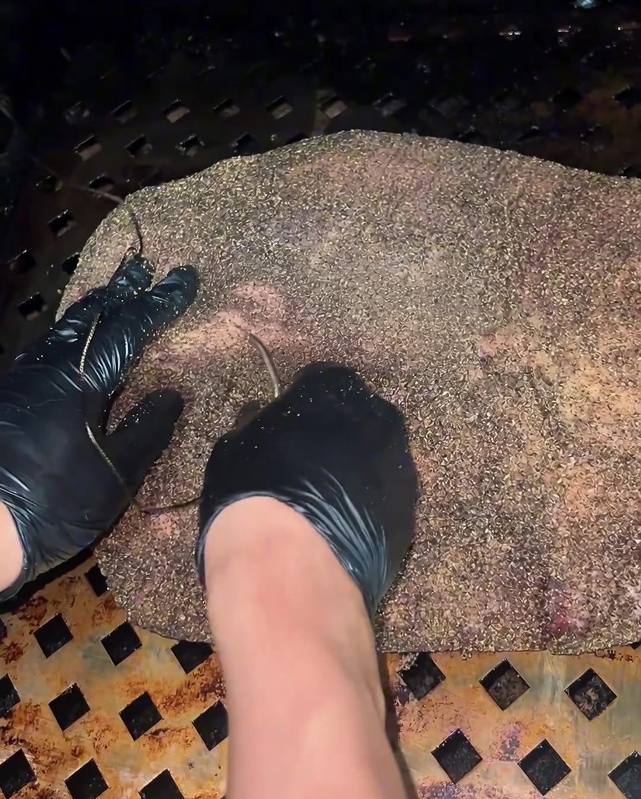 Eine Sprühflasche besprüht die Oberfläche des dunkler werdenden, räuchernden Briskets.