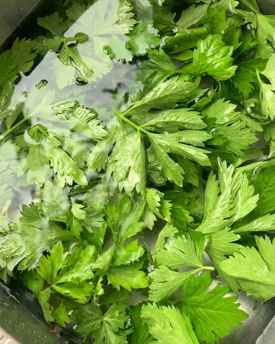 Frische grüne Sellerieblätter in einem mit klarem Wasser gefüllten Edelstahl-Küchenspülbecken.