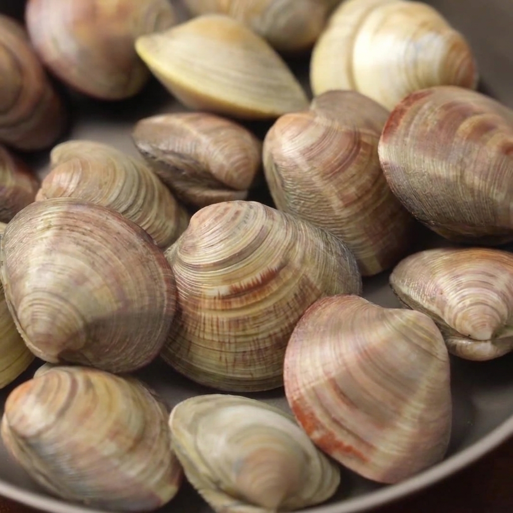 Muscheln kochen in einem Topf gefüllt mit Wasser, Zitronenscheiben und Weißwein bei mittlerer Hitze.