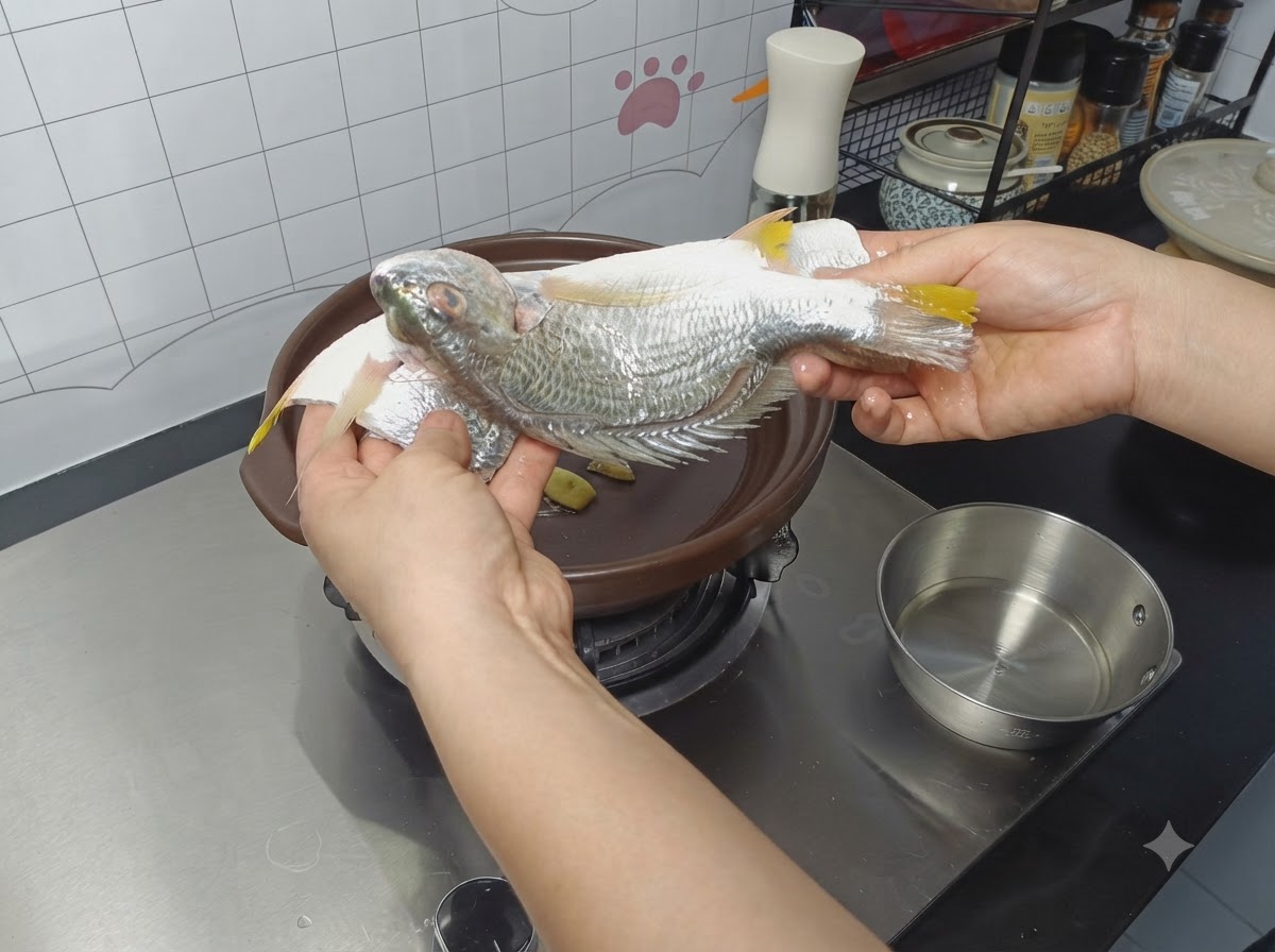 Ein gewürzter ganzer Fisch, der auf Ingwerscheiben in einen Tontopf gelegt wird.