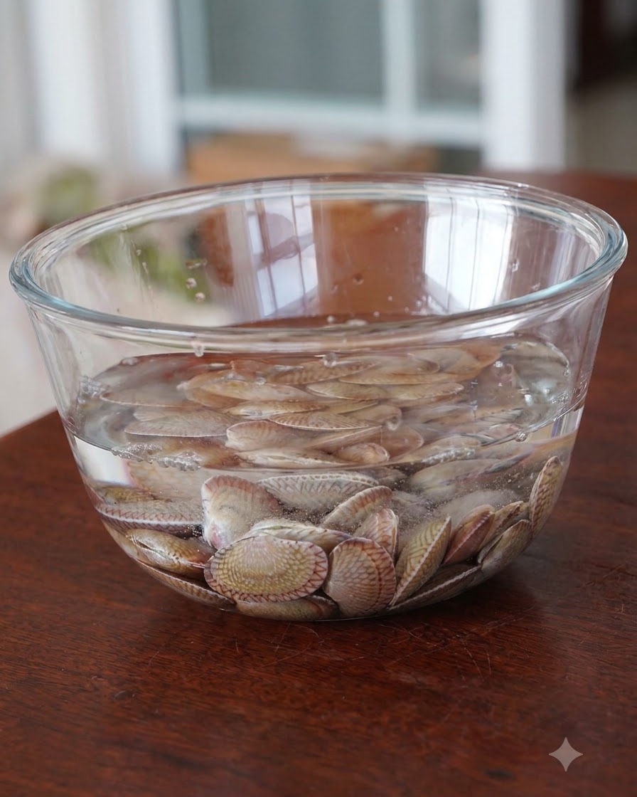 Frische rohe Venusmuscheln, die in einer klaren, mit Wasser gefüllten Glasschüssel einweichen.